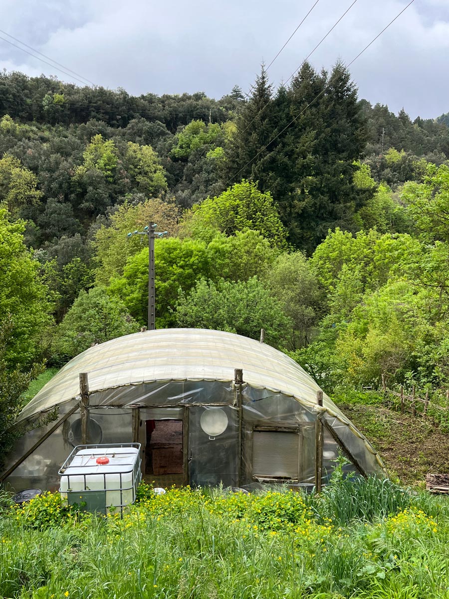 Indigo dyeing Part I — l’Occitanie